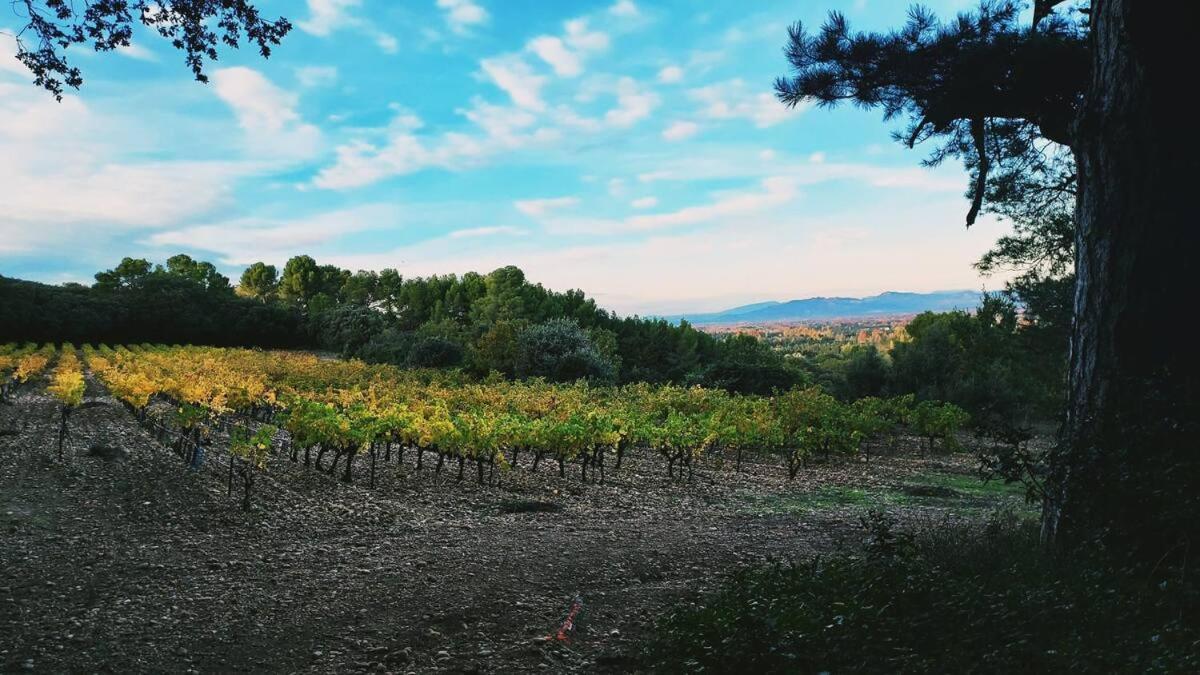 L'Appartement De L'Arche Châteauneuf-de-Gadagne Zewnętrze zdjęcie