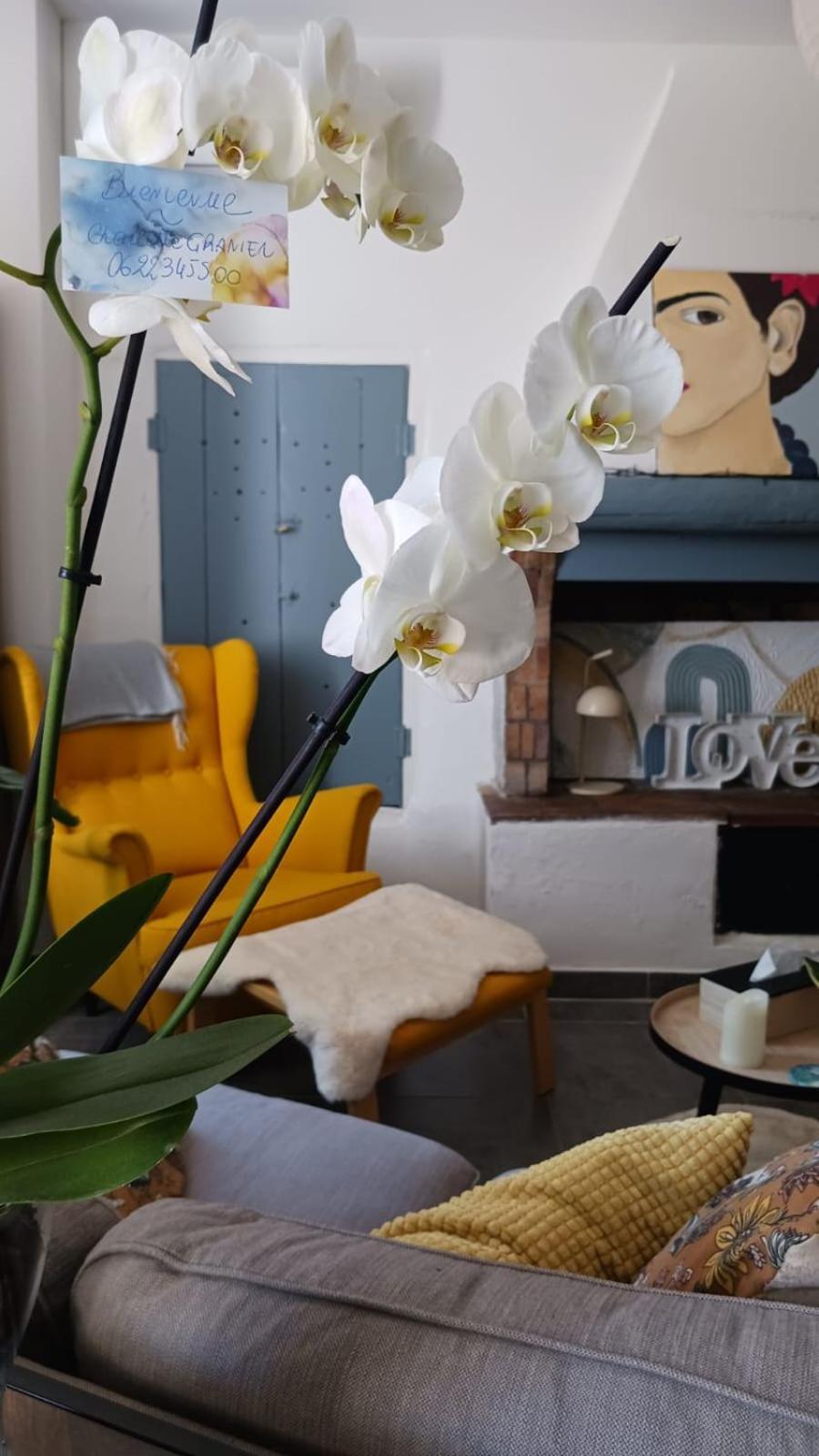 L'Appartement De L'Arche Châteauneuf-de-Gadagne Zewnętrze zdjęcie